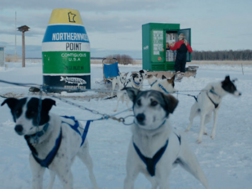在冰天雪地裡怎麼送「冷凍披薩」？汪星人扛起重任表示：讓專業的來！