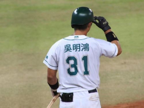 吳明鴻：為台鋼雄鷹打造穩健捕手與引導者