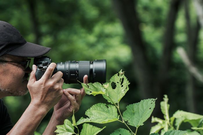 新品登場｜Sony G Master 首款微距定焦鏡 FE 100mm F2.8 Macro GM OSS 打開微觀視界的藝術之眼，探索細節的極致之美