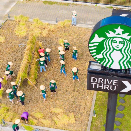 一杯咖啡，一片稻浪：走進星巴克苑裡稻香門市，感受最溫柔的田園時光