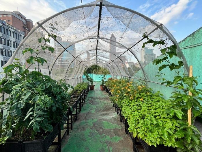 減碳綠行動開跑！114年度第四季土壤改良劑10/13起開放申請