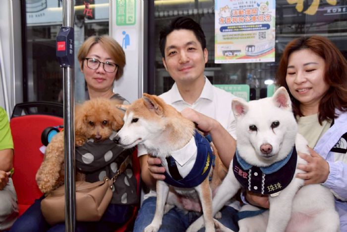 臺北打造寵物友善新日常！毛孩搭車、散步、春遊一次滿足，城市溫度再升級