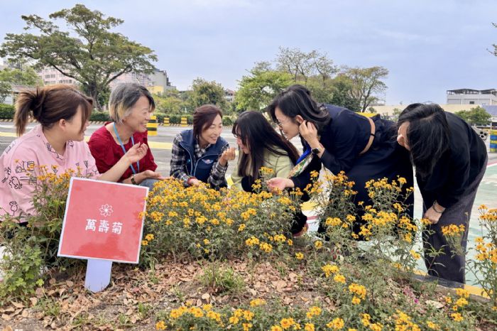 「還記得那株小苗嗎？」植樹節前夕高雄區監理所邀民眾一同見證花開時刻