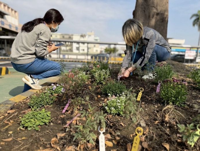 高雄區監理所推「預約早苗」快閃活動，汽燃費約扣結合減碳永續，提前達標種下100棵樹