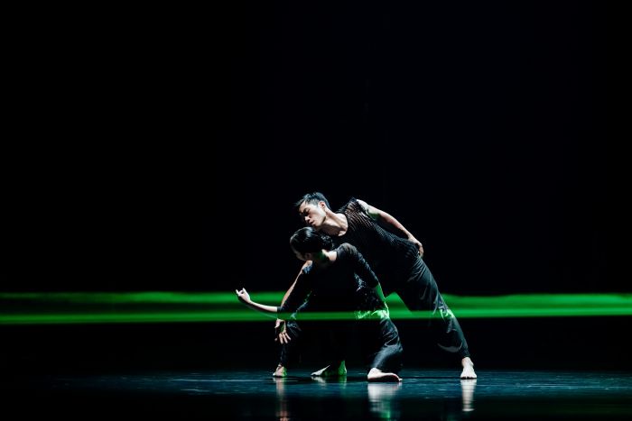 雲門舞集「關不掉的耳朵」高雄震撼登場！聲音與身體交織的詩意旅程，引觀眾多刷盛讚